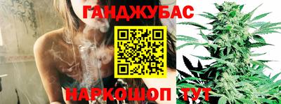 гидра Малгобек