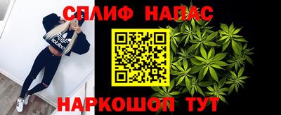 гидра Малгобек