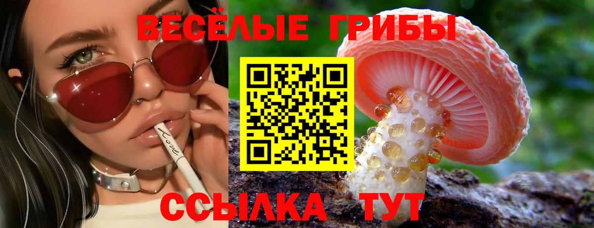 Псилоцибиновые грибы мицелий  Вход с VPN  Северобайкальск 